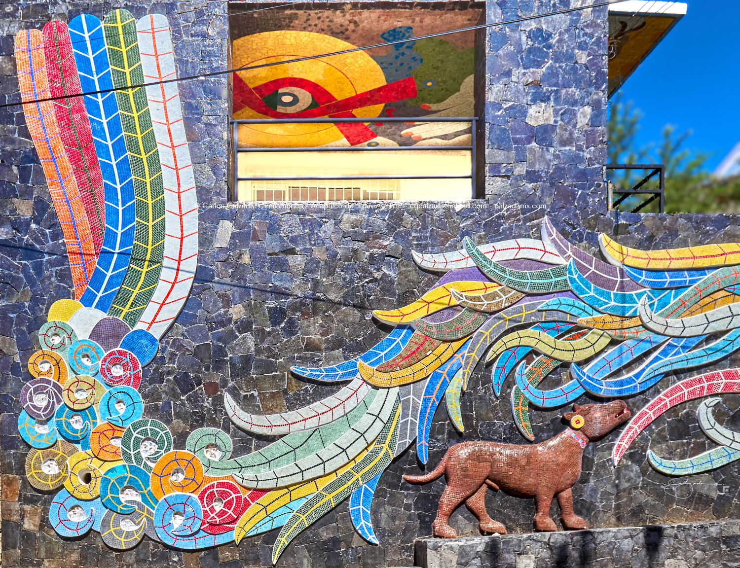 Diego Rivera - DSC02810 - ene 15 2025.png